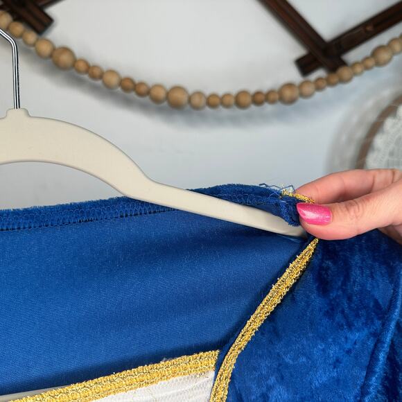 Rubies Costumes Juliet Blue Velvet Dress - Picture 4 of 7